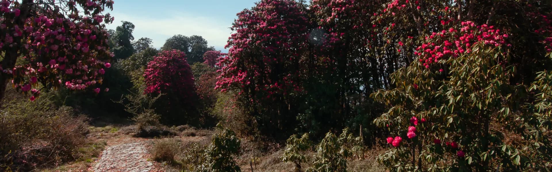 Barsey - Tourism & Travel