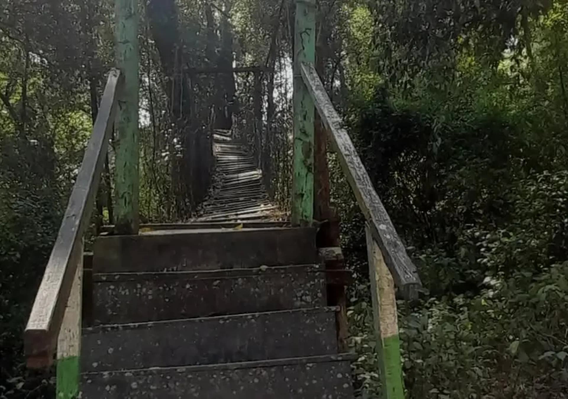 Loleygaon Canopy Walk