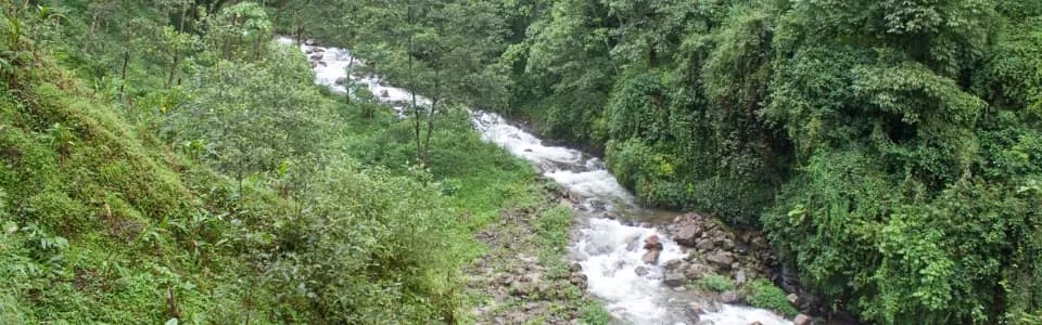 Rimbi - Tourism & Travel