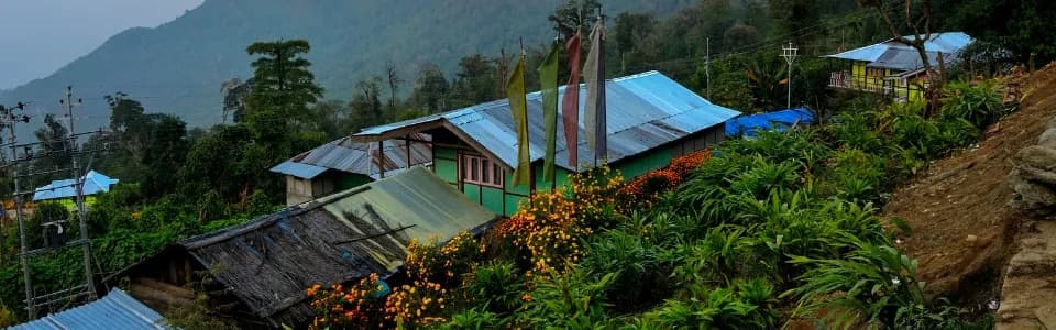 Assam Lingzey - Tourism & Travel