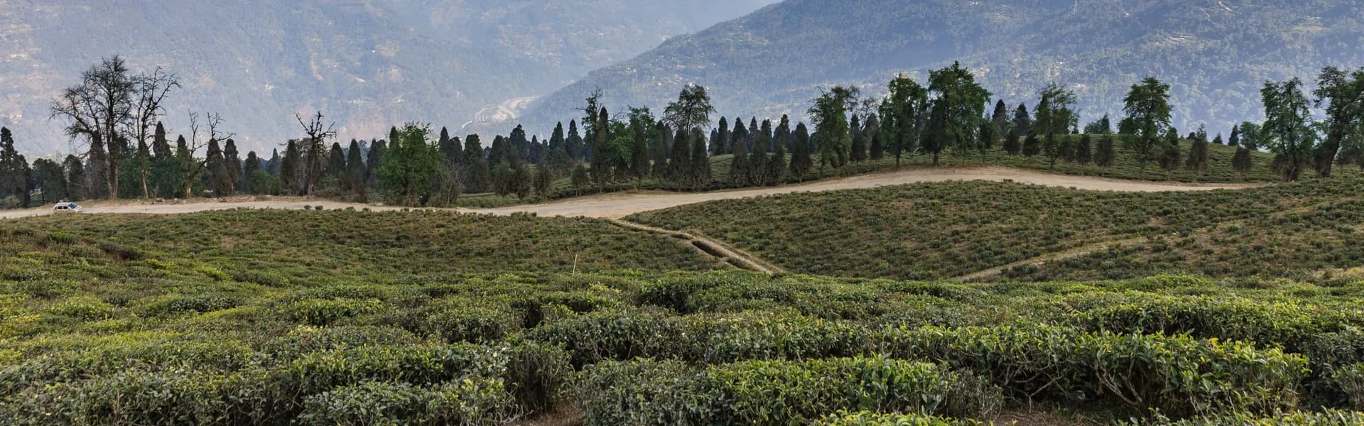 Temi Tarku - Tourism & Travel