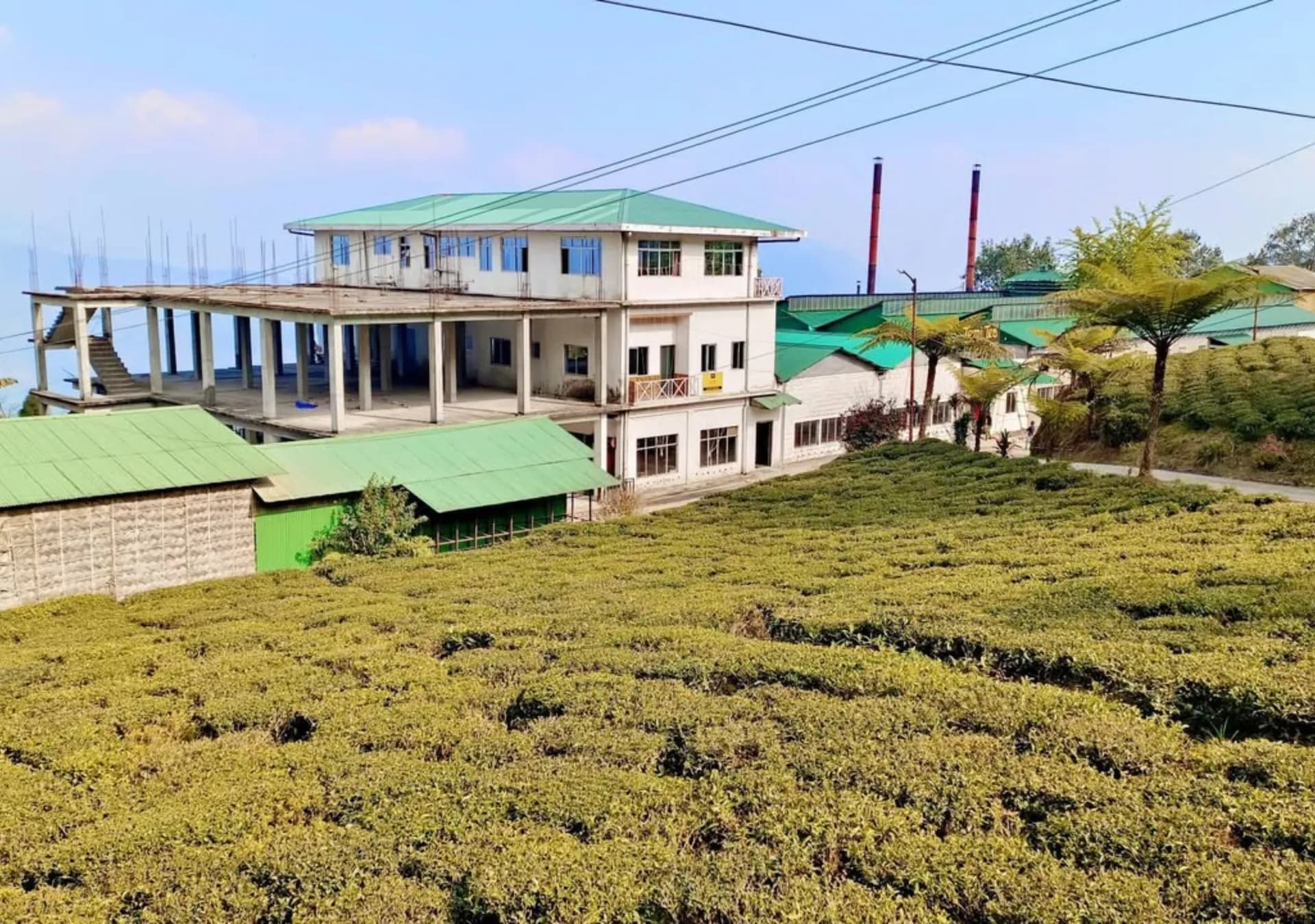 Tea Processing Factory