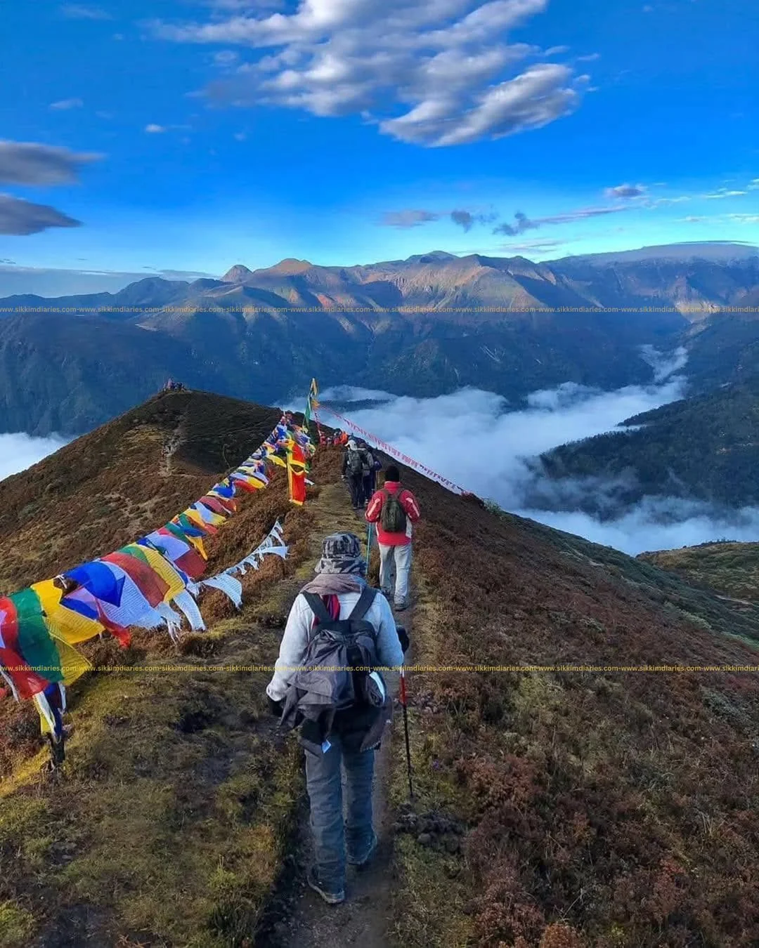 Dzongri Trek – The Perfect Himalayan Trek in West Sikkim