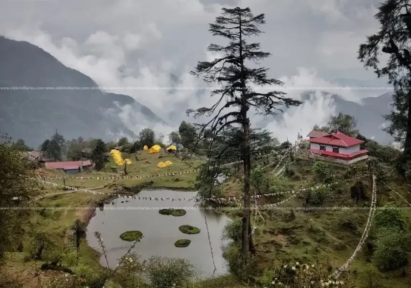 Tshoka – The Gateway to the Goechala Trek in West Sikkim