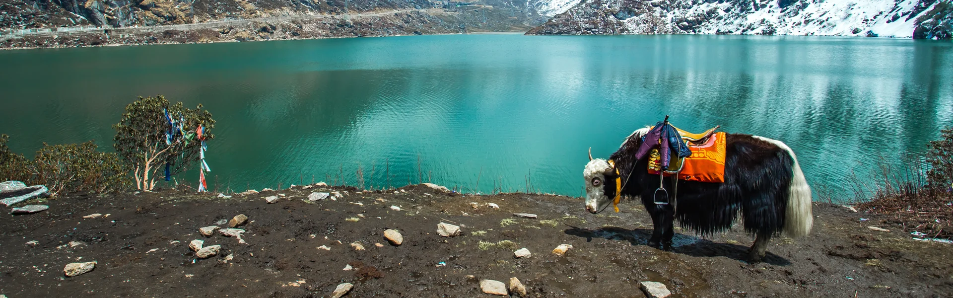 2 Nights Gangtok 1 Night Pelling Tour Package